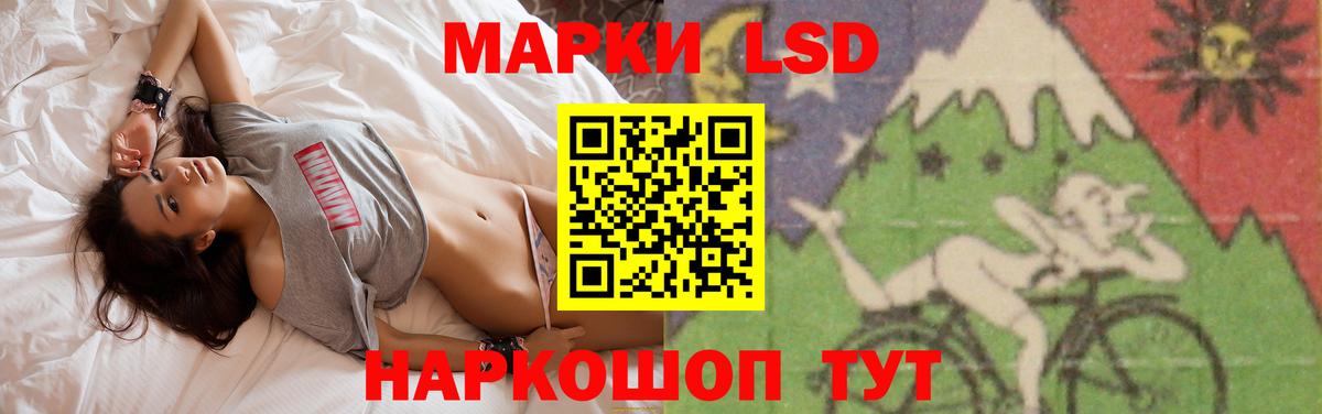 ЛСД экстази ecstasy  Вход с VPN  Курчалой  ЛСД экстази кислота 