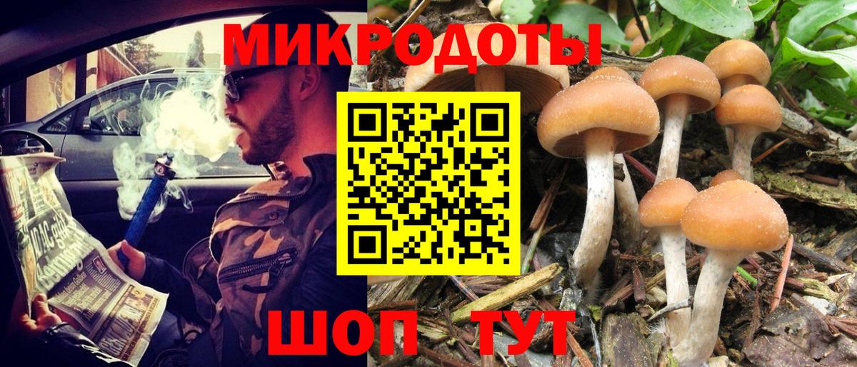Псилоцибиновые грибы Psilocybine cubensis Курчалой